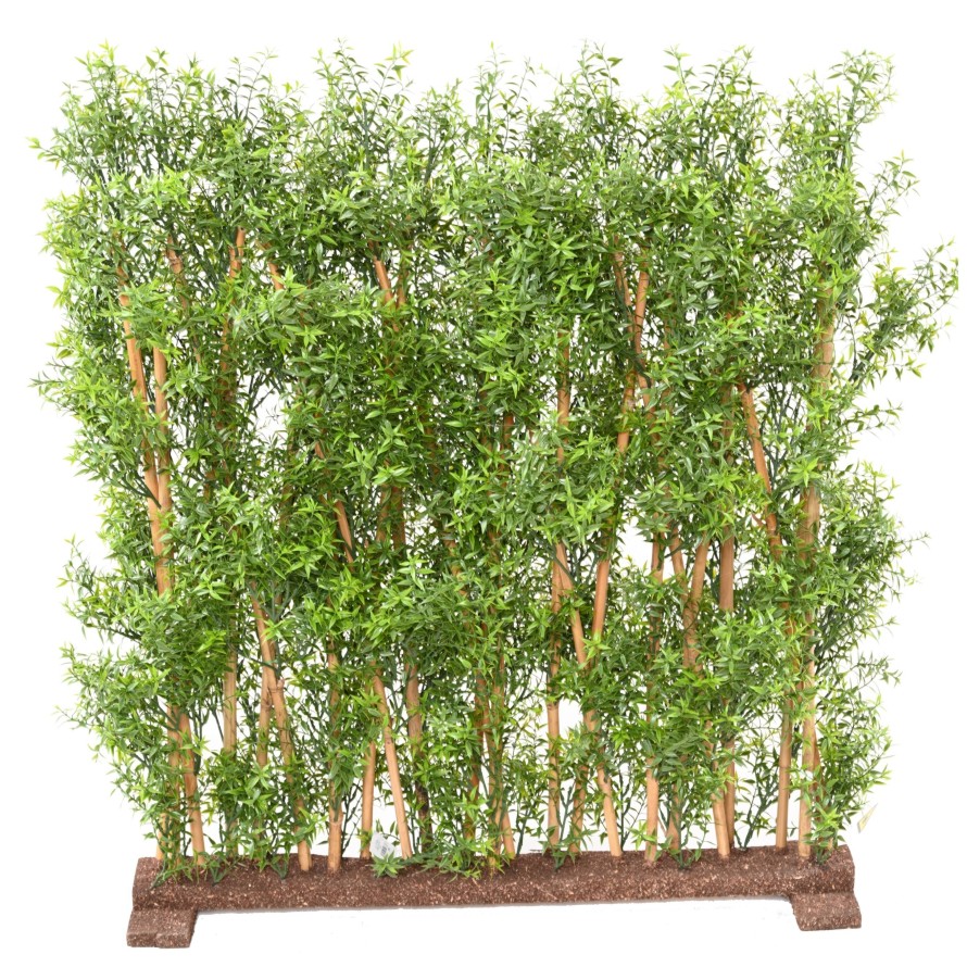 EUKALYPTUS 81 UV HECKE