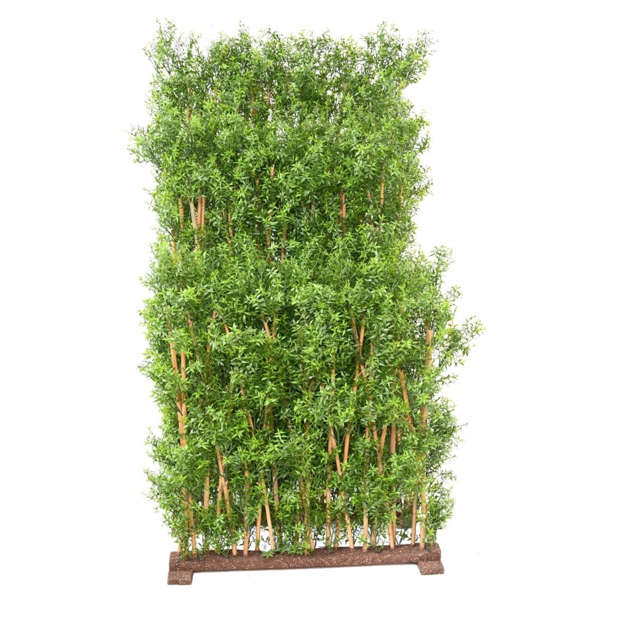 EUKALYPTUS 81 UV HECKE