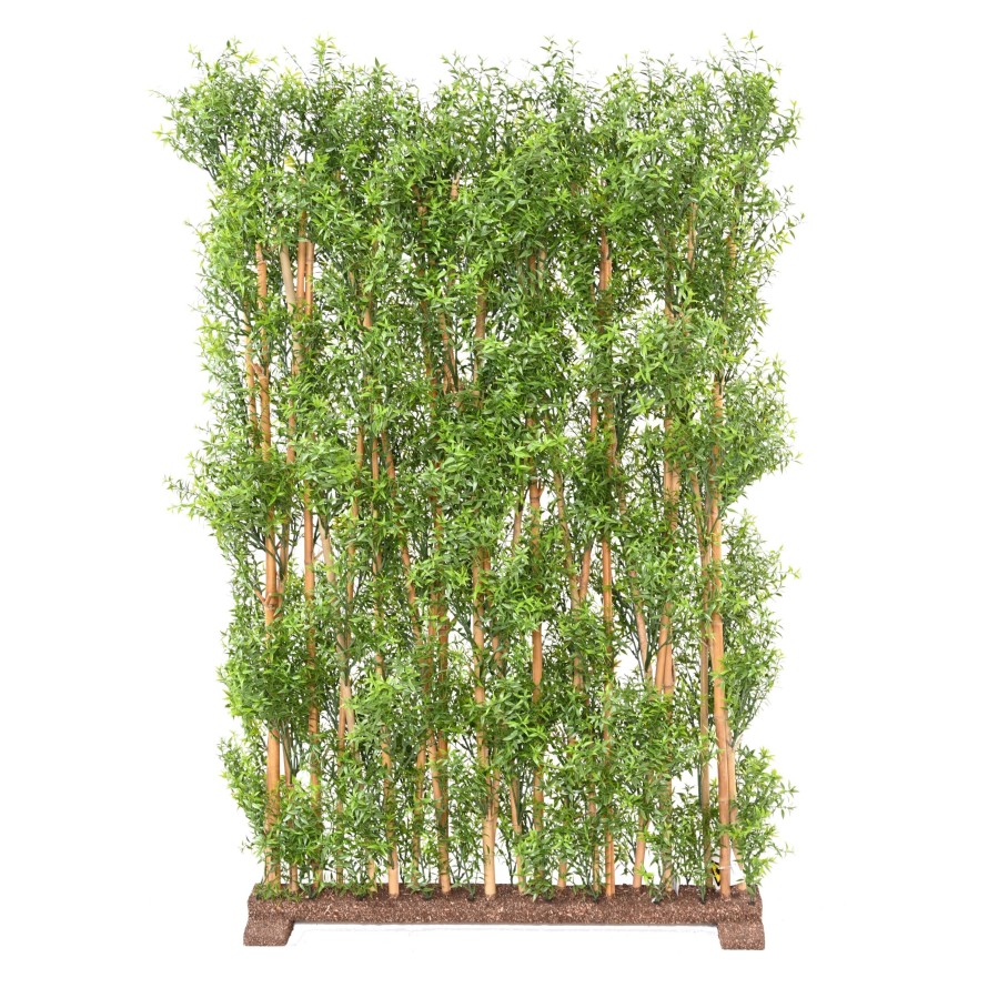 EUKALYPTUS 81 UV HECKE