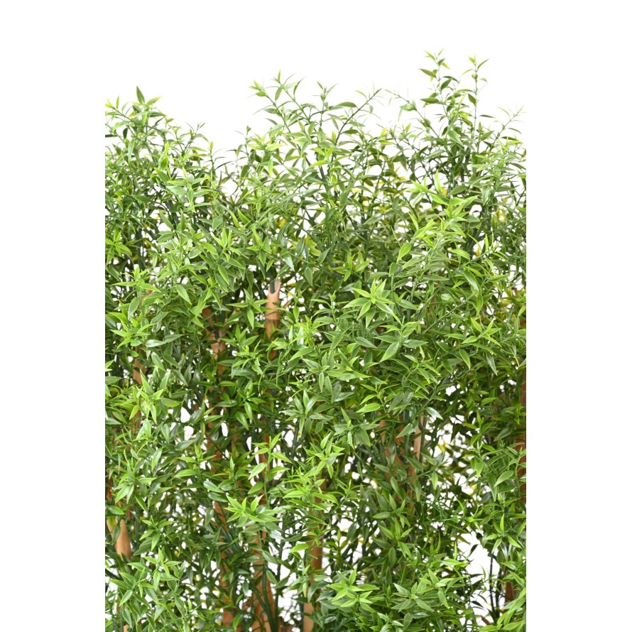 EUKALYPTUS 81 UV HECKE