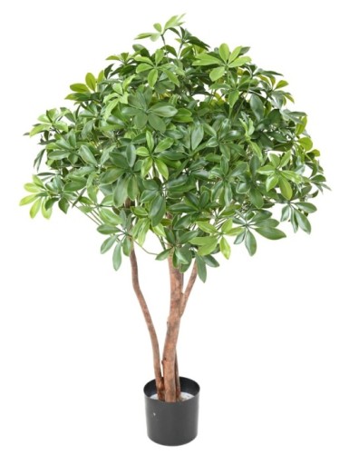 SCHEFFLERA ARBUSTO PLÁST....