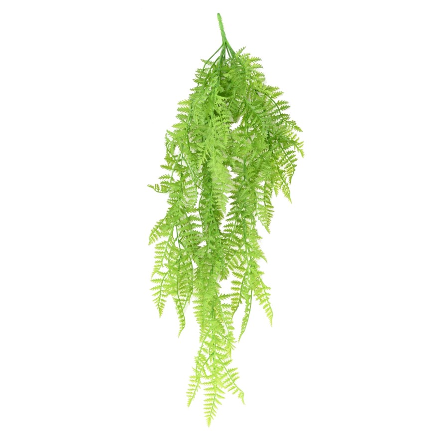 POLYPODIUM COLGANTE (HELECHO)