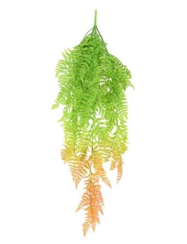 POLYPODIUM COLGANTE (HELECHO)