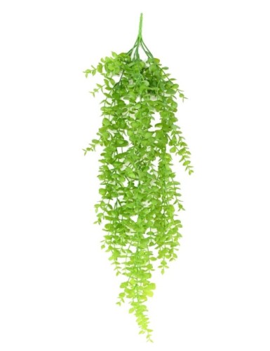 DICHONDRA GF HÄNGEKUNSTPFLANZE