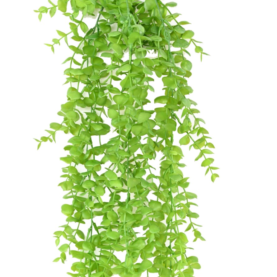 DICHONDRA GF HÄNGEKUNSTPFLANZE