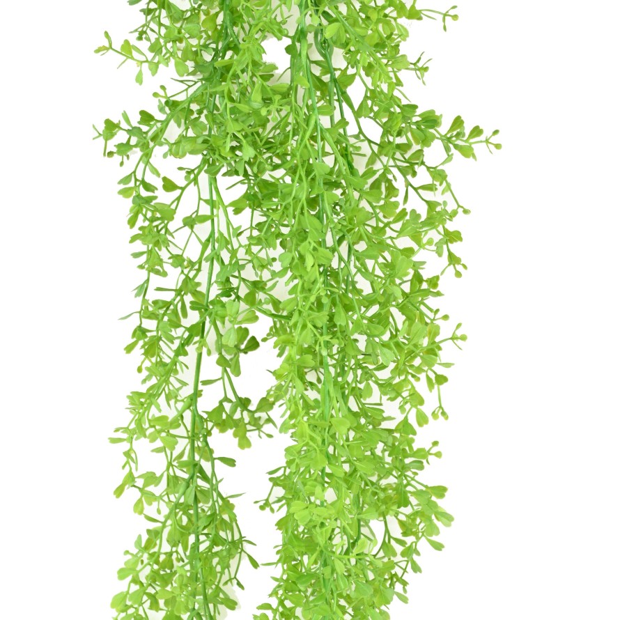 CEROPEGIA MINI HÄNGEKUNSTPFLANZE