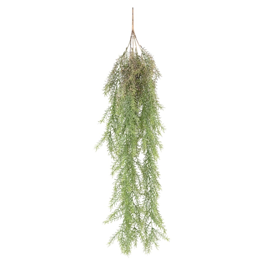 RHIPSALIS 101 COLGANTE