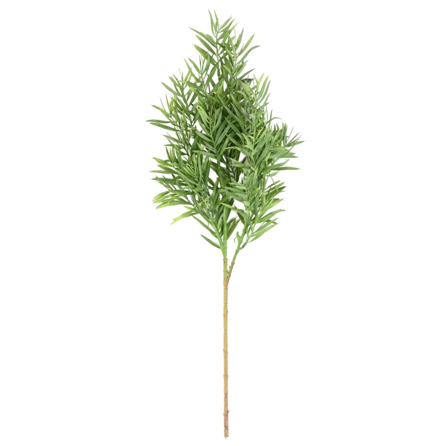 ARTEMISIA SIN MACETA