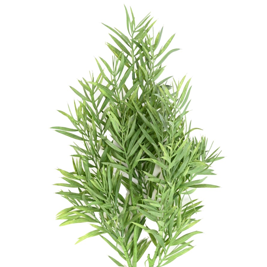 ARTEMISIA STECKSTAB