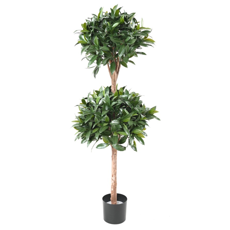 LORBEERBAUM NOBILIS NEW DOPPELKUGEL 140 UV