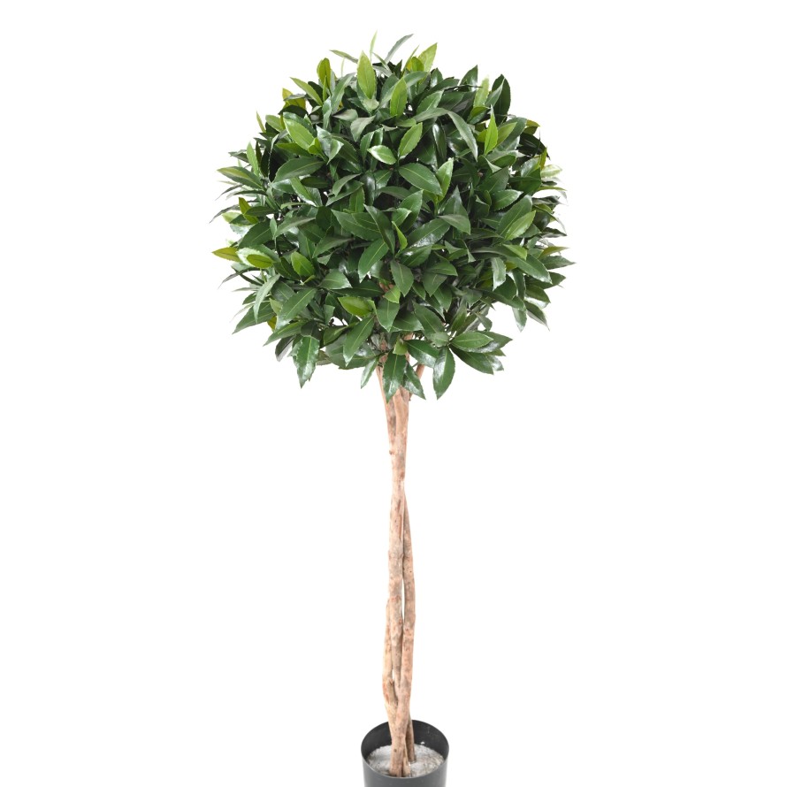 LAUREL COMÚN NEW TALLO ESFERA 145 RESISTENTE A LOS RAYOS UV