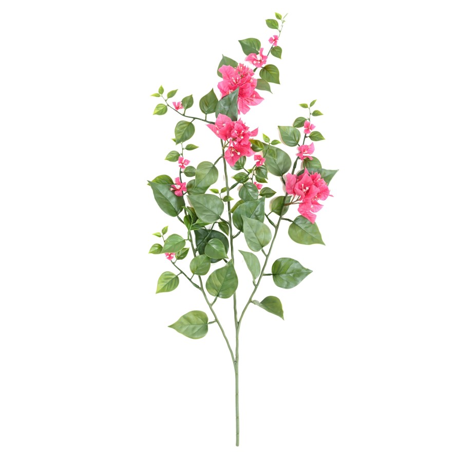 BOUGAINVILLEA (Drillingsblume) GROSS ZWEIG 90 UV
