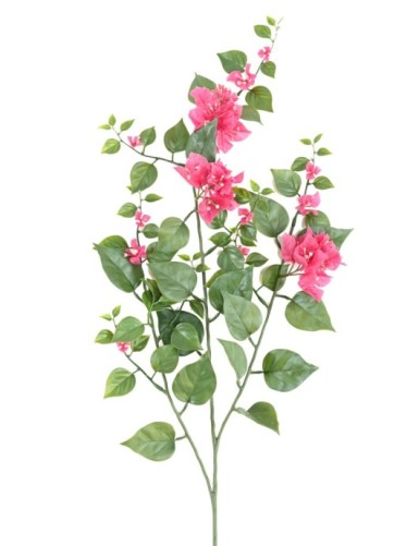 BOUGAINVILLEA (Drillingsblume) GROSS ZWEIG 90 UV