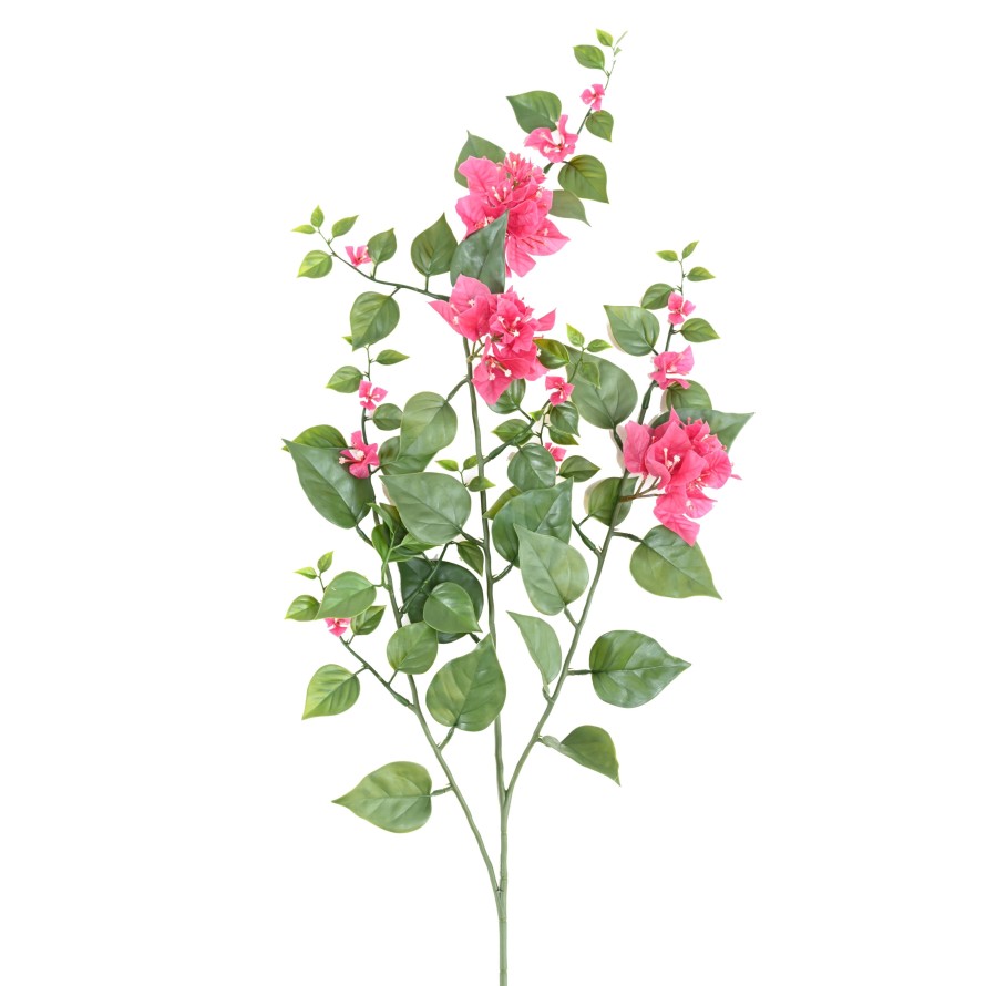 BOUGAINVILLEA (Drillingsblume) GROSS ZWEIG 90 UV