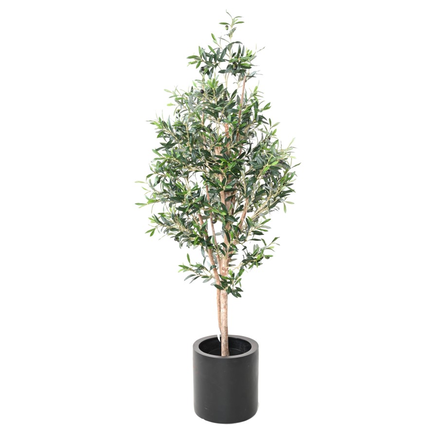 OLIVO TREE 150