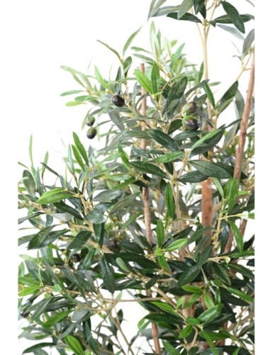 OLIVENBAUM TREE 150