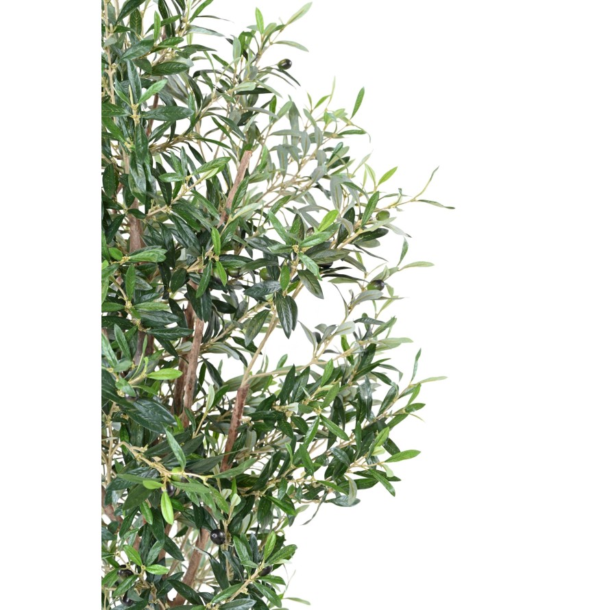 OLIVENBAUM TREE 180