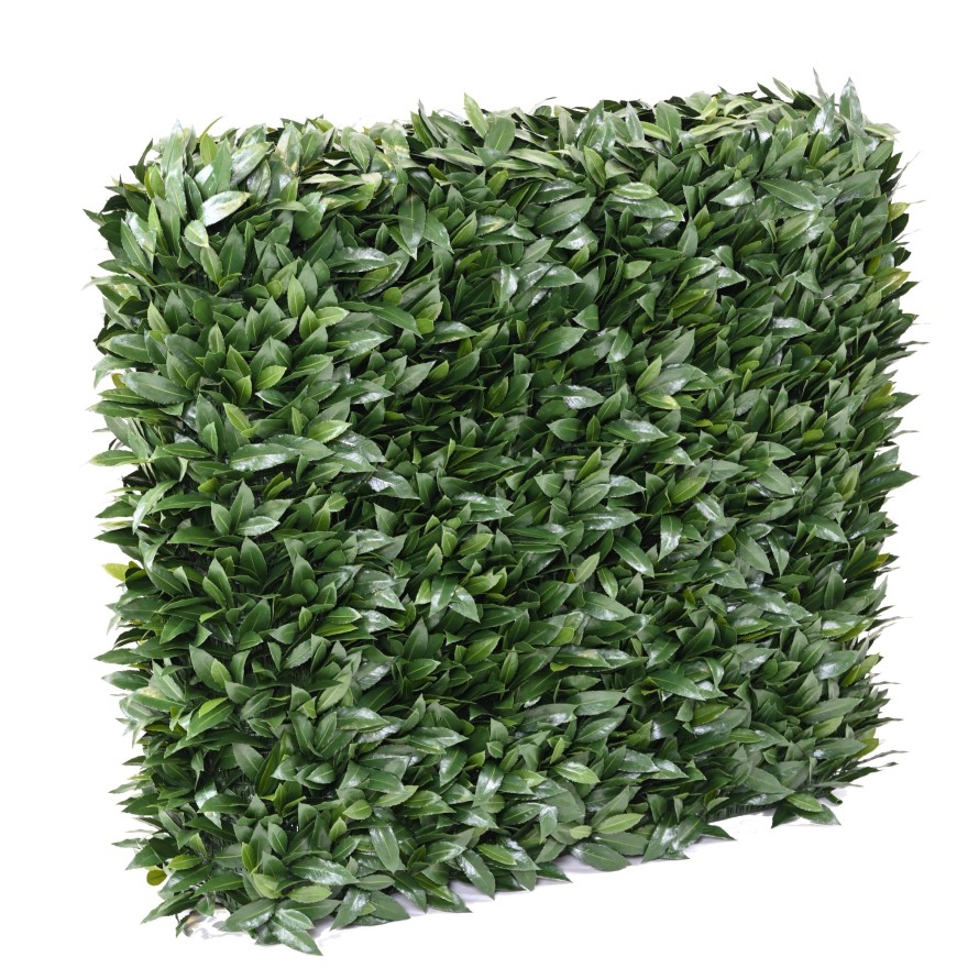LORBEERBAUM NOBILIS NEW UV HECKE