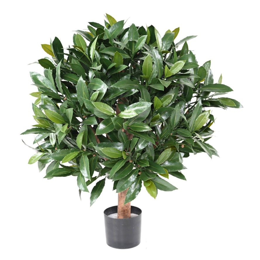 LAUREL COMÚN NEW ESFERA RESISTENTE A LOS RAYOS UV