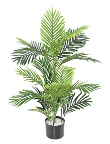 ARECA PALM TREE