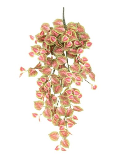 CÓLEO COLGANTE 96 R