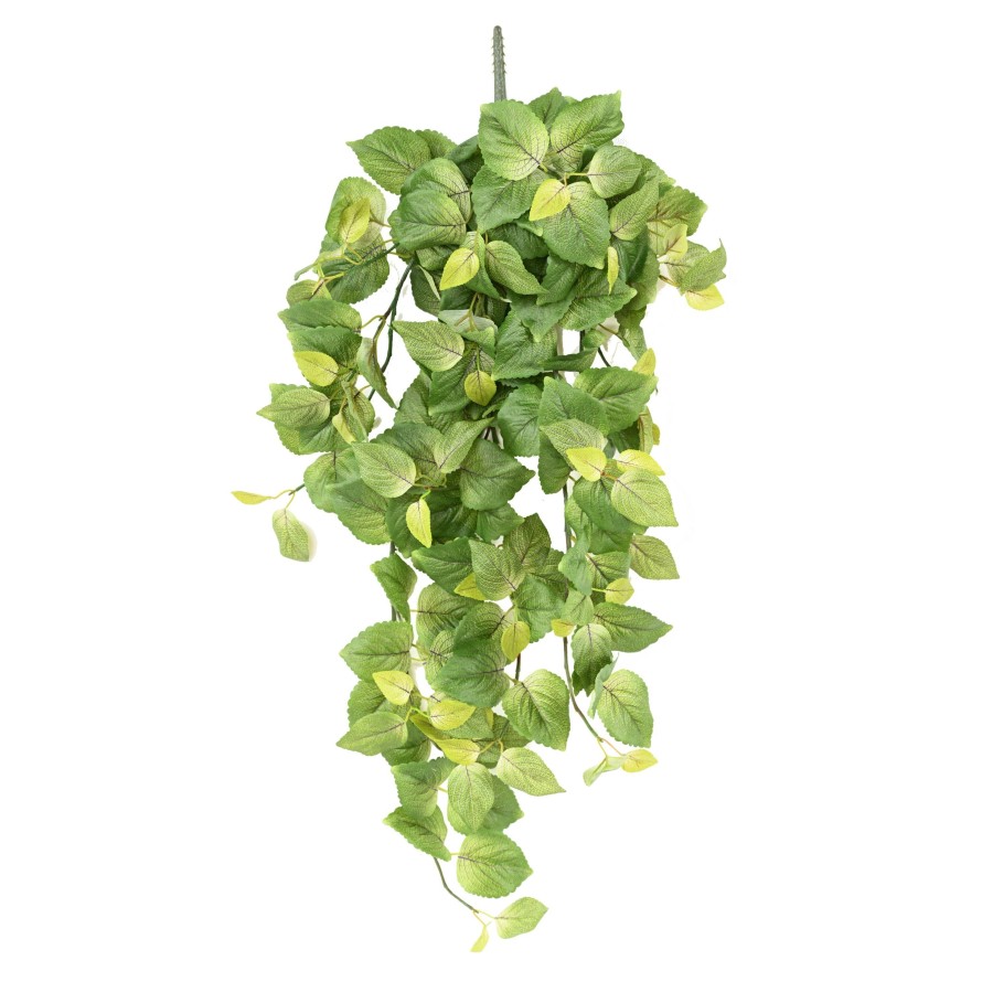 COLEUS HÄNGEKUNSTPFLANZE 96 V