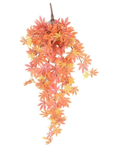 ARALIA COLGANTE 96 A