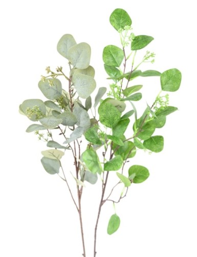 EUKALYPTUS 81 ZWEIG 85