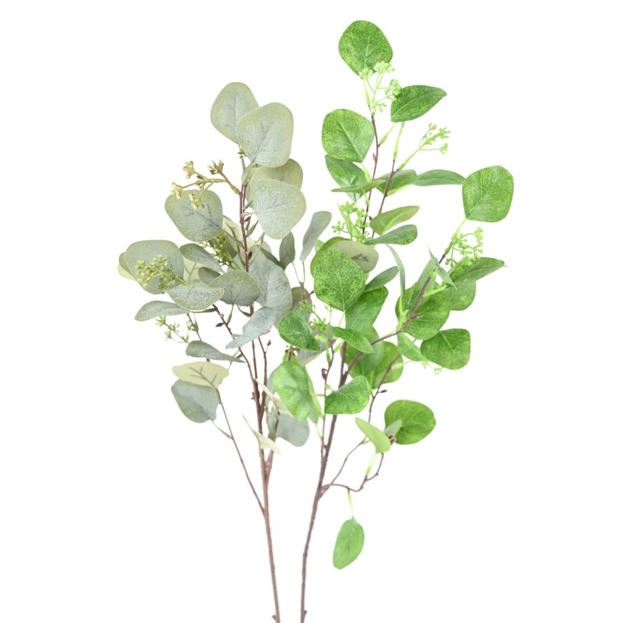 EUKALYPTUS 81 ZWEIG 85