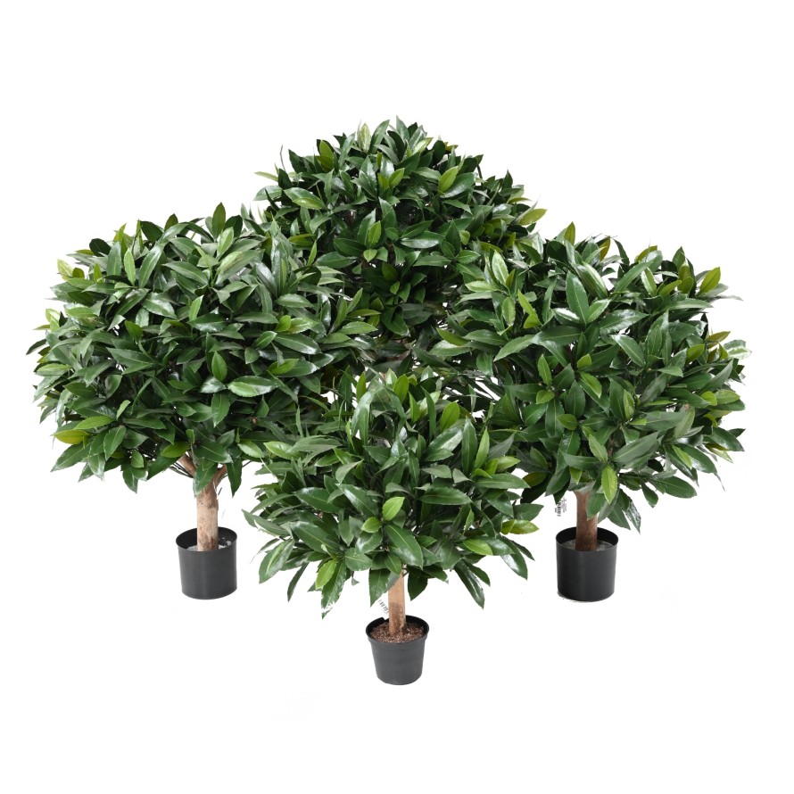 LAUREL COMÚN NEW ESFERA RESISTENTE A LOS RAYOS UV