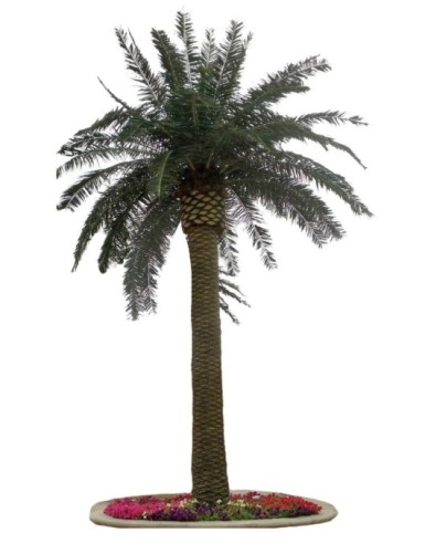 PALMERA REAL 5,30 M