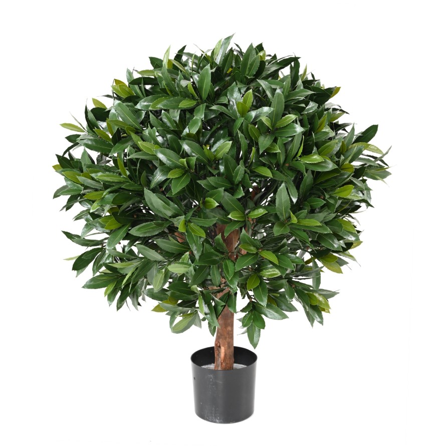 LAUREL COMÚN NEW ESFERA RESISTENTE A LOS RAYOS UV