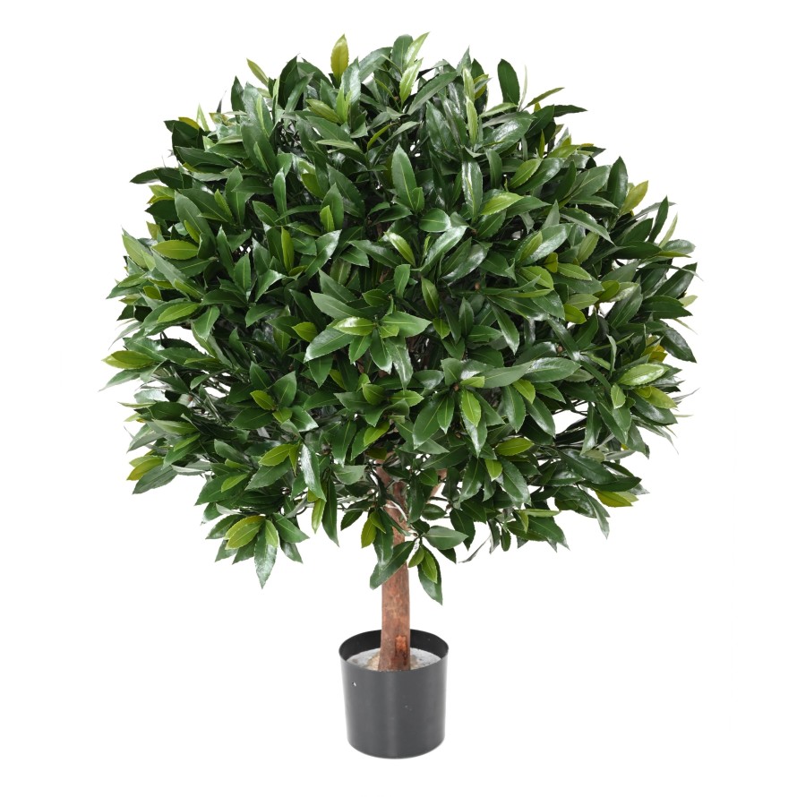 LAUREL COMÚN NEW ESFERA RESISTENTE A LOS RAYOS UV