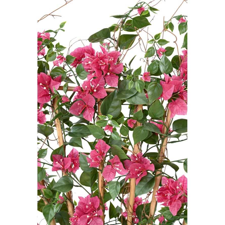 BOUGAINVILLEA (Drillingsblume) GROSS SICHTSCHUTZMATTE UV