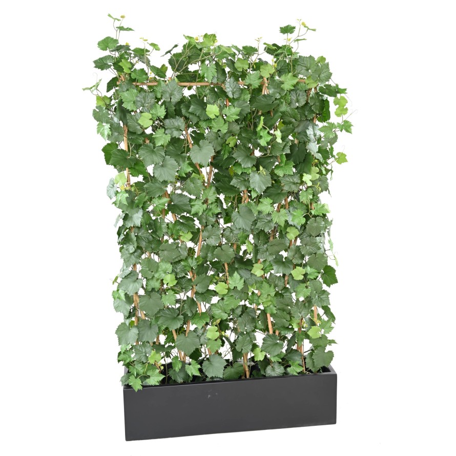 WEINREBE HECKE PLAST UV-BESTÄNDIG