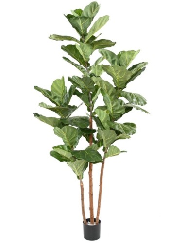 LYRATA 3 STÄNGEL 190