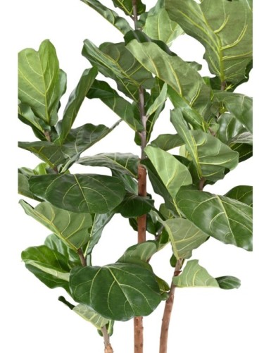 LYRATA 3 STÄNGEL 190