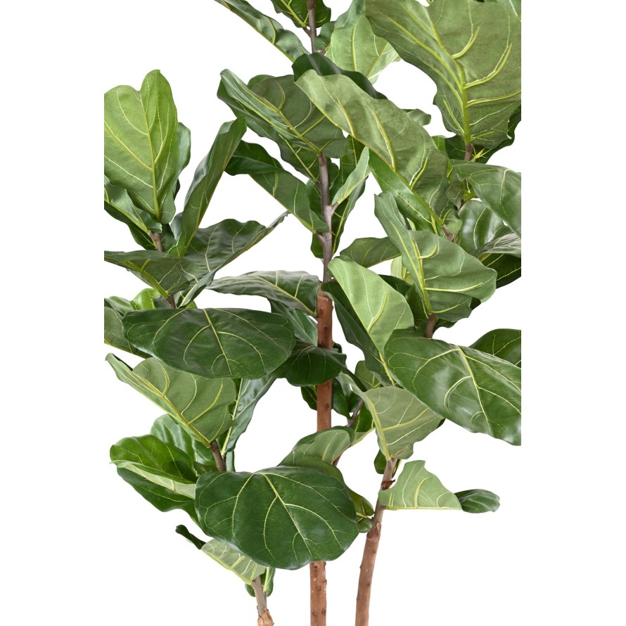 LYRATA 3 STÄNGEL 190