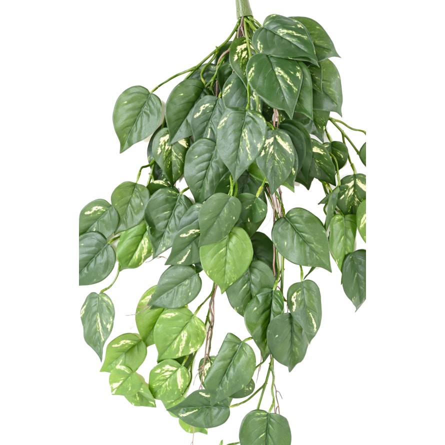 POTHOS COLGANTE 95 RESISTENTE A LOS RAYOS UV