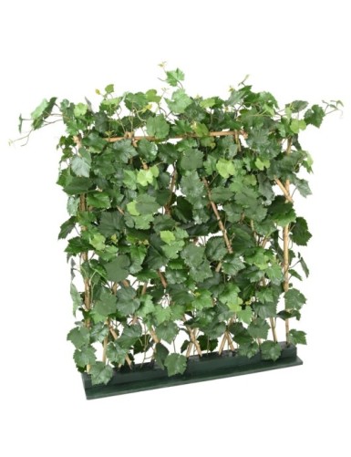 WEINREBE HECKE PLAST...