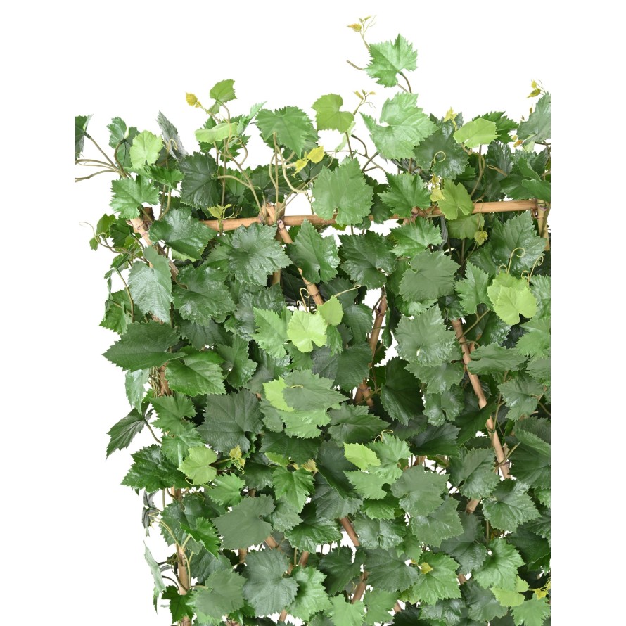 WEINREBE HECKE PLAST UV-BESTÄNDIG