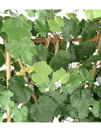 WEINREBE HECKE PLAST UV-BESTÄNDIG