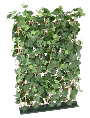 WEINREBE HECKE PLAST...