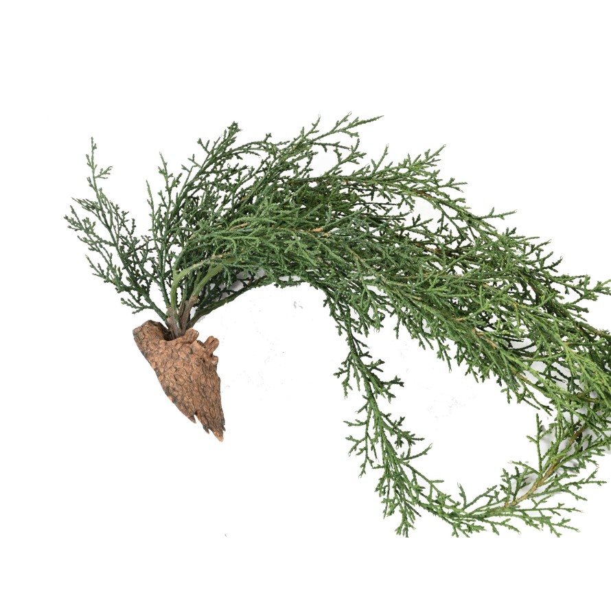 JUNIPERUS HANGING BUSH 75