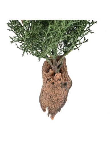 JUNIPERUS HANGING BUSH 75