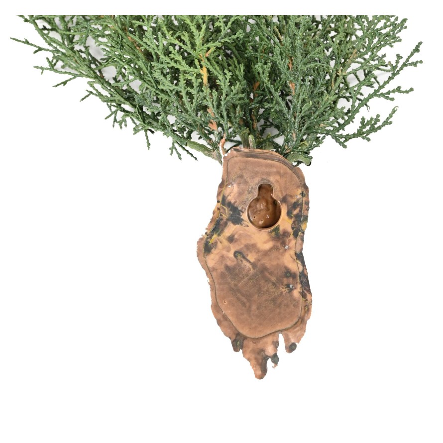 JUNIPERUS COLGANTE 75