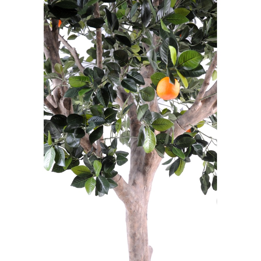 ORANGE TREE LARGE