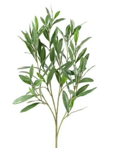 OLIVENBAUM ZWEIG PLAST UV