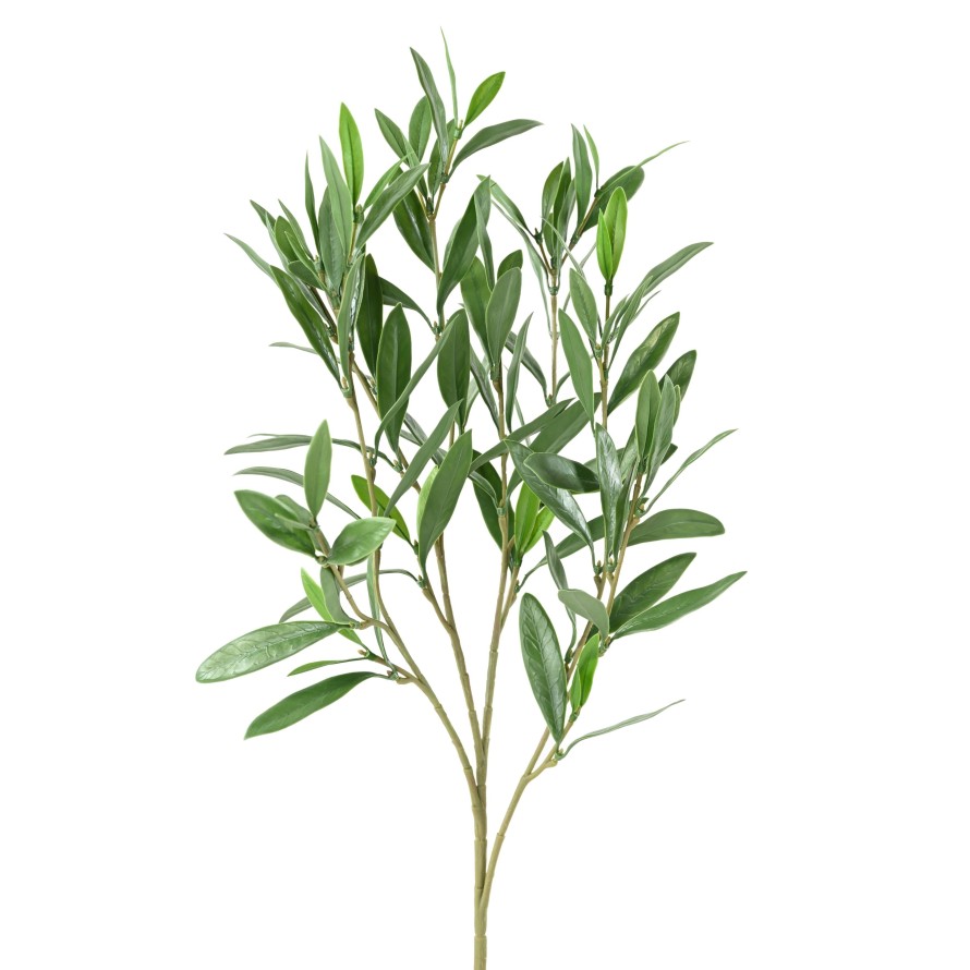 OLIVENBAUM ZWEIG PLAST UV