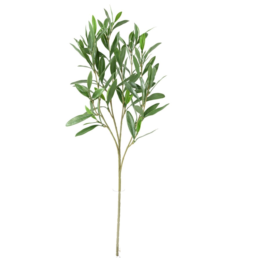 OLIVENBAUM ZWEIG PLAST UV